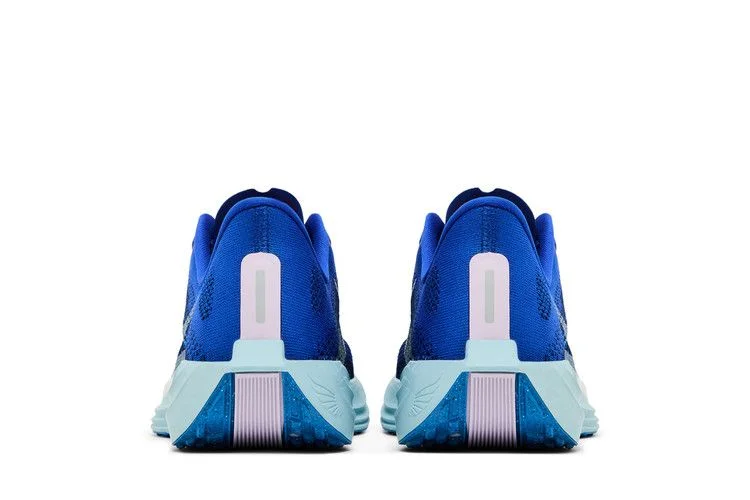 Кроссовки Nike Pegasus Plus 'Racer Blue'