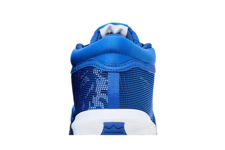 Кроссовки Nike LeBron Witness 8 TB 'Game Royal'