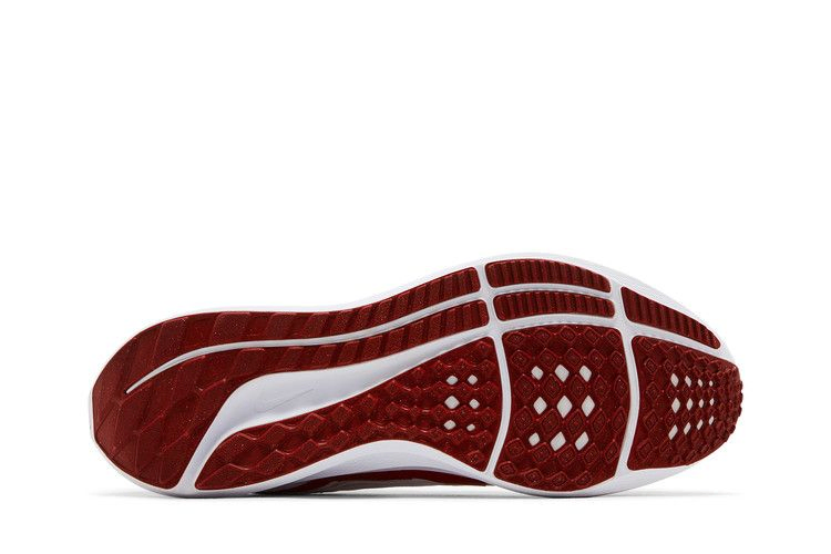 Кроссовки Nike Air Zoom Pegasus 40 'Bowerman Track Club'