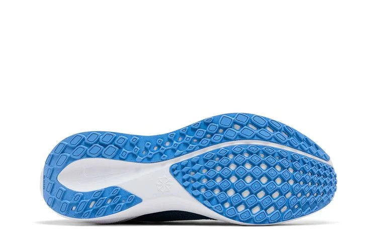Кроссовки Nike Air Zoom Pegasus 41 'UNC'