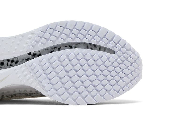 Кроссовки Nike Pegasus Premium 'White Metallic Silver'