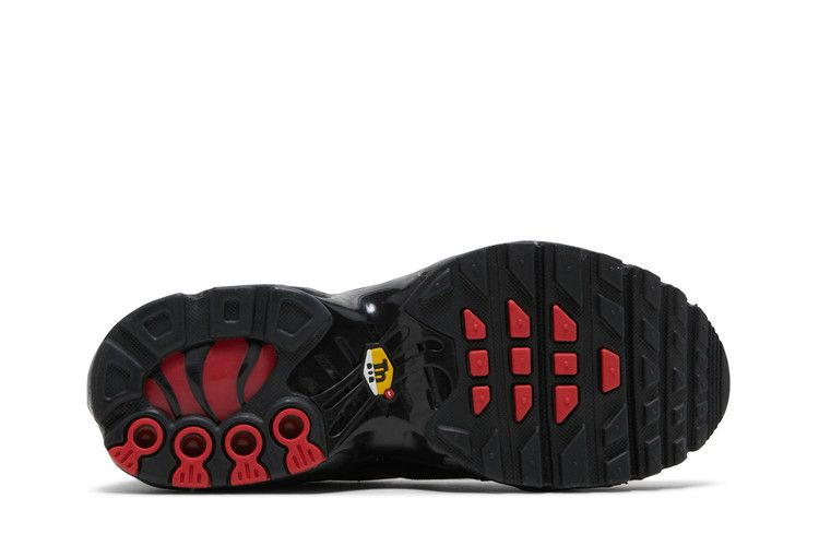 Кроссовки Nike Air Max Plus GS 'Bred'