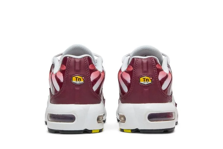 Кроссовки Nike Air Max Plus GS 'Dark Beetroot'