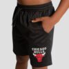 Chicago-Bulls-Team-Mesh-Youth-NBA-Shorts-1-100x100