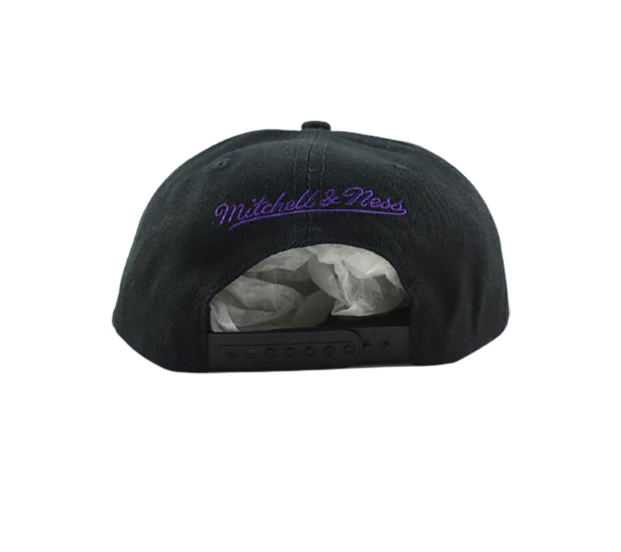 Бейсболка Team Ground Snapback Toronto Raptors