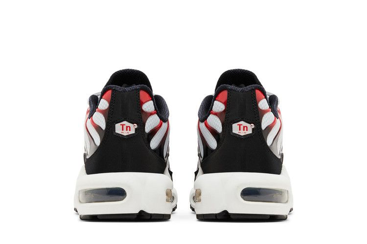 Кроссовки Nike Air Max Plus 'Platinum Black University Red'