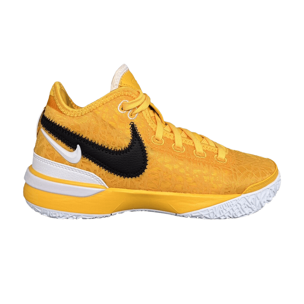 Кроссовки Nike Zoom LeBron NXXT Gen TB Promo 'University Gold'