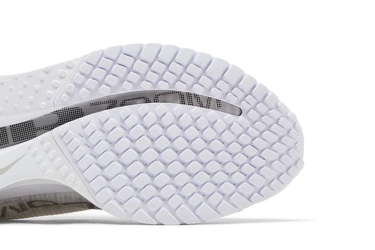 Кроссовки Nike Wmns Pegasus Premium 'White Metallic Silver'
