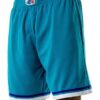 Mitchell-Ness-Charlotte-Hornets-1992-1993-Hardwood-Classics-Throwback-Swingman-NBA-Shorts-1-100x100