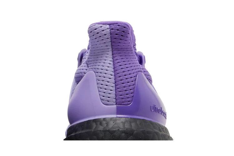 Кроссовки adidas UltraBoost 1.0 DNA 'Purple Tint'