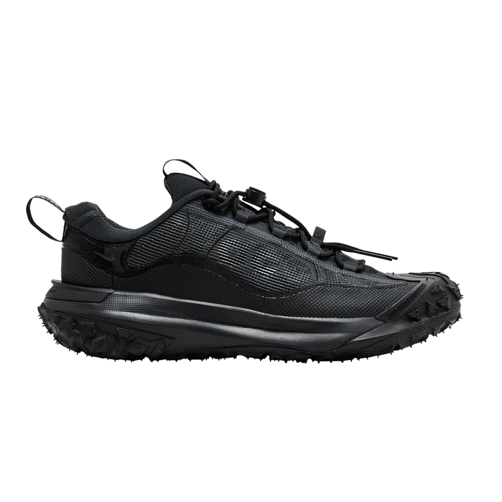 Кроссовки Nike ACG Mountain Fly 2 Low GORE-TEX 'Dark Smoke Grey'