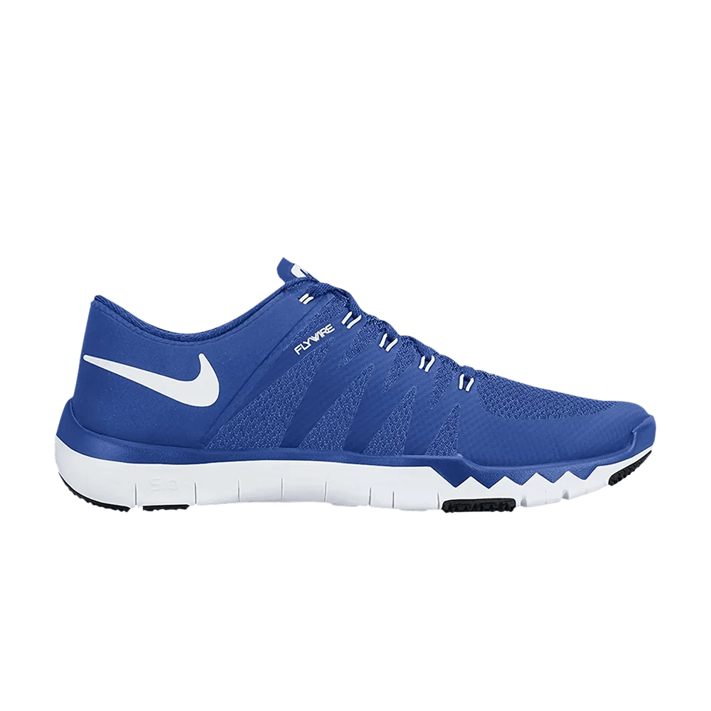 Krossovki-Nike-Trainer-5.0-V6-TB-Game-Royal