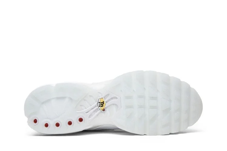 Кроссовки Nike Air Max Plus 'International Flag'