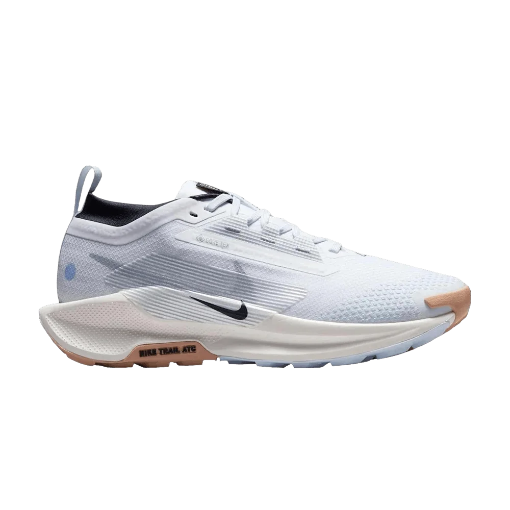 Кроссовки Nike Wmns Pegasus Trail 5 GTX 'White Black Sail Wolf Grey'