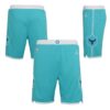 Nike-Charlotte-Hornets-2024-Icon-Edition-Swingman-Youth-NBA-Shorts-1-100x100