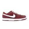 dunk-low-pro-b-624044-612-100x100