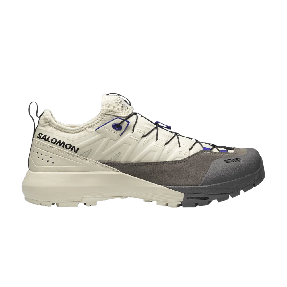 Кроссовки Salomon Alpinway Advanced 'Almond Milk Plum Kitten'