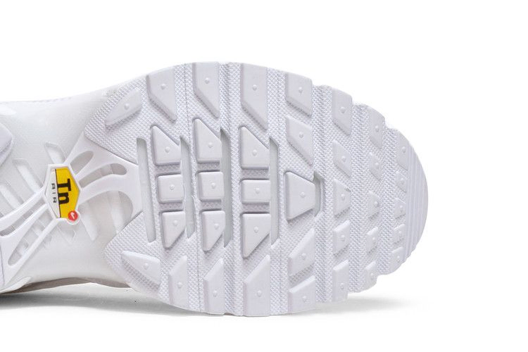 Кроссовки Nike Wmns Air Max Plus 'Triple White'