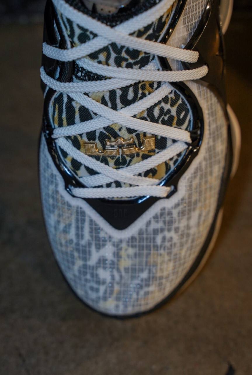 Кроссовки Nike LeBron 19 EP Leopard