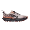 wmns-challenger-atr-7-gore-tex-cosmic-pearl-1134502-clx-100x100