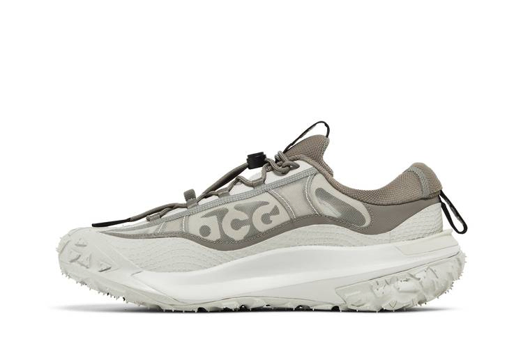 Кроссовки Nike ACG Mountain Fly 2 Low 'Iron Ore'