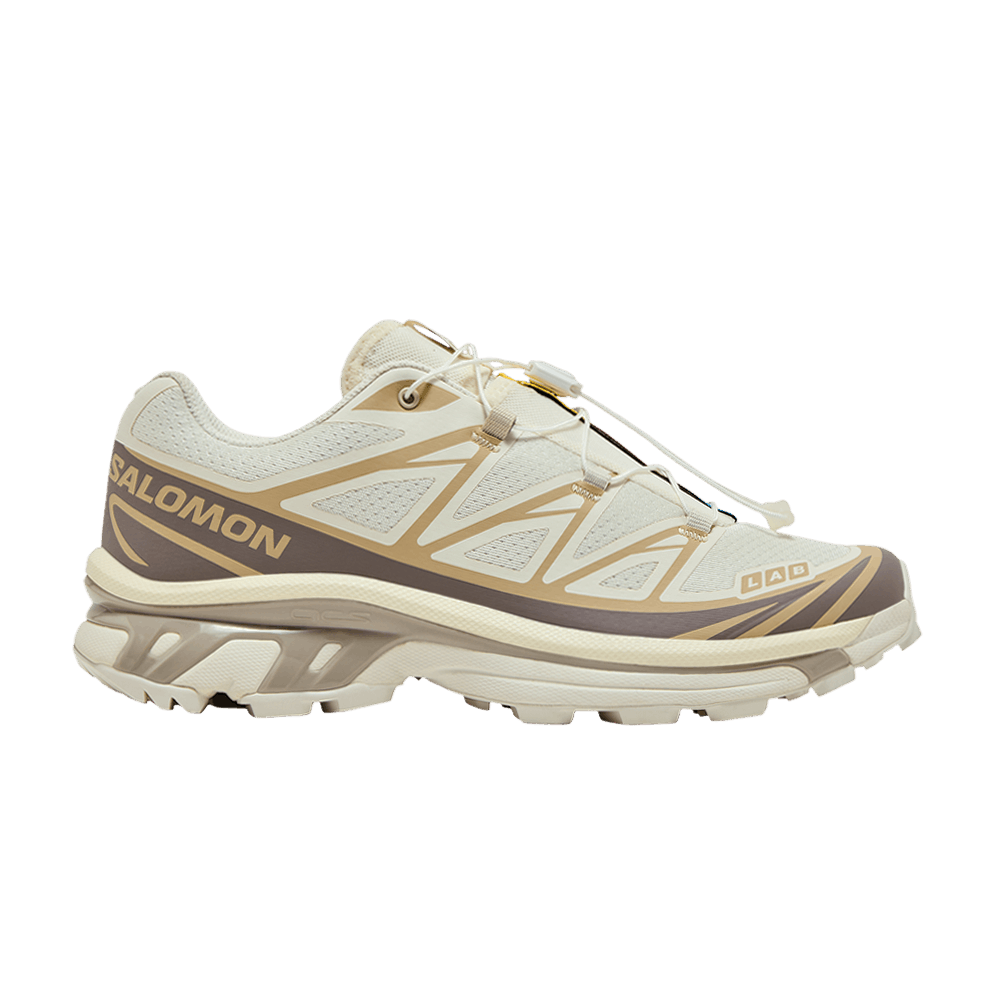 Кроссовки Salomon XT-6 'Vanilla Ice Iron Etherea'