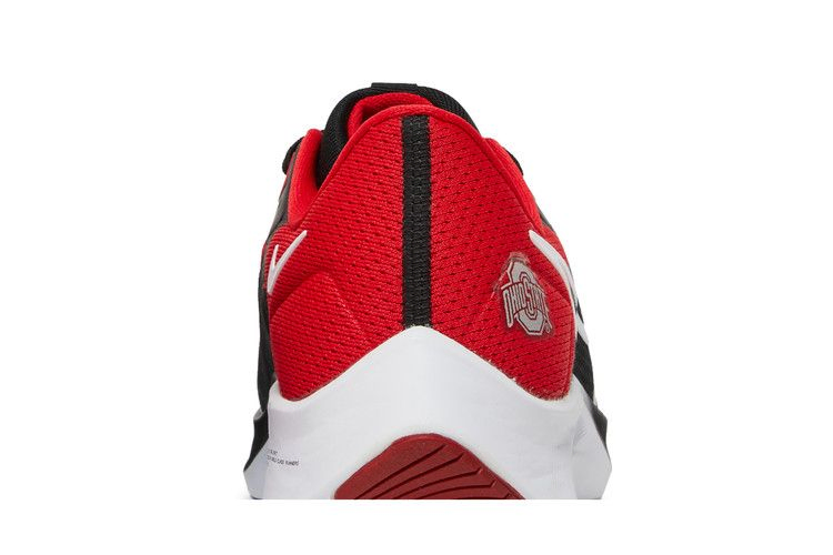 Кроссовки Nike Air Zoom Pegasus 38 'Ohio State'