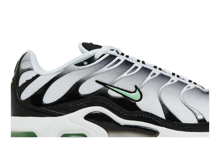 Кроссовки Nike Air Max Plus GS 'White Reflect Silver Fresh Mint'