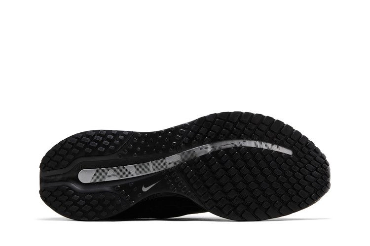 Кроссовки Nike Pegasus Premium 'Black Metallic Silver'