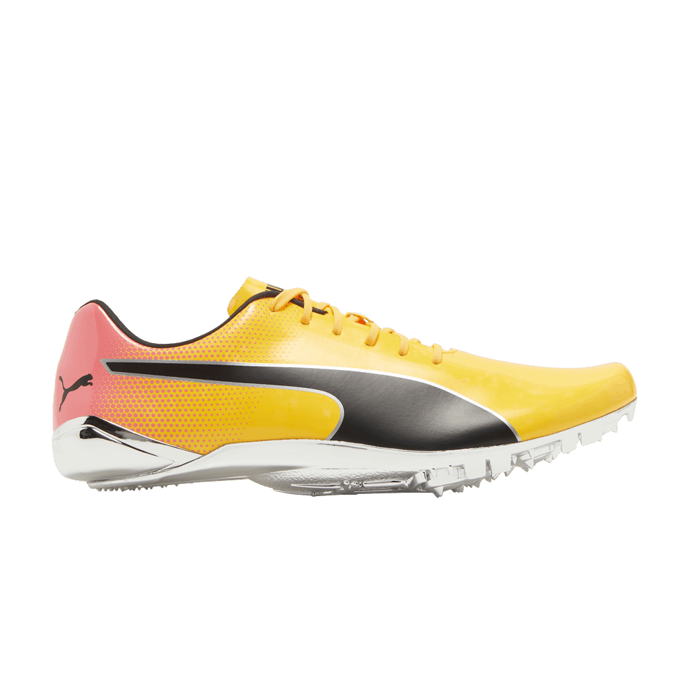 evospeed-electric-13-sun-stream-sunset-glow-377000-01