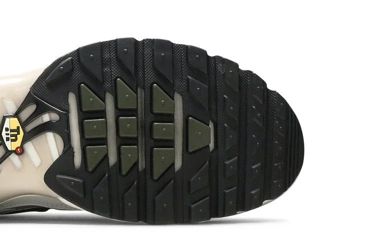 Кроссовки Nike Air Max Plus 'Brushstroke'