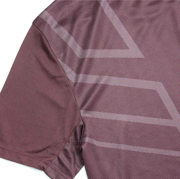 Big-Tall-Russell-Dry-Power-Tee-Bordo-10