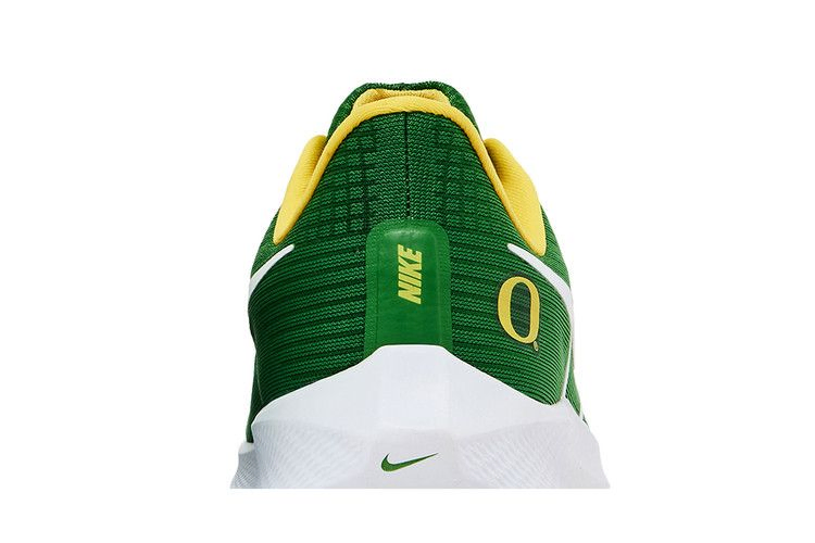 Кроссовки Nike Air Zoom Pegasus 39 'Oregon'