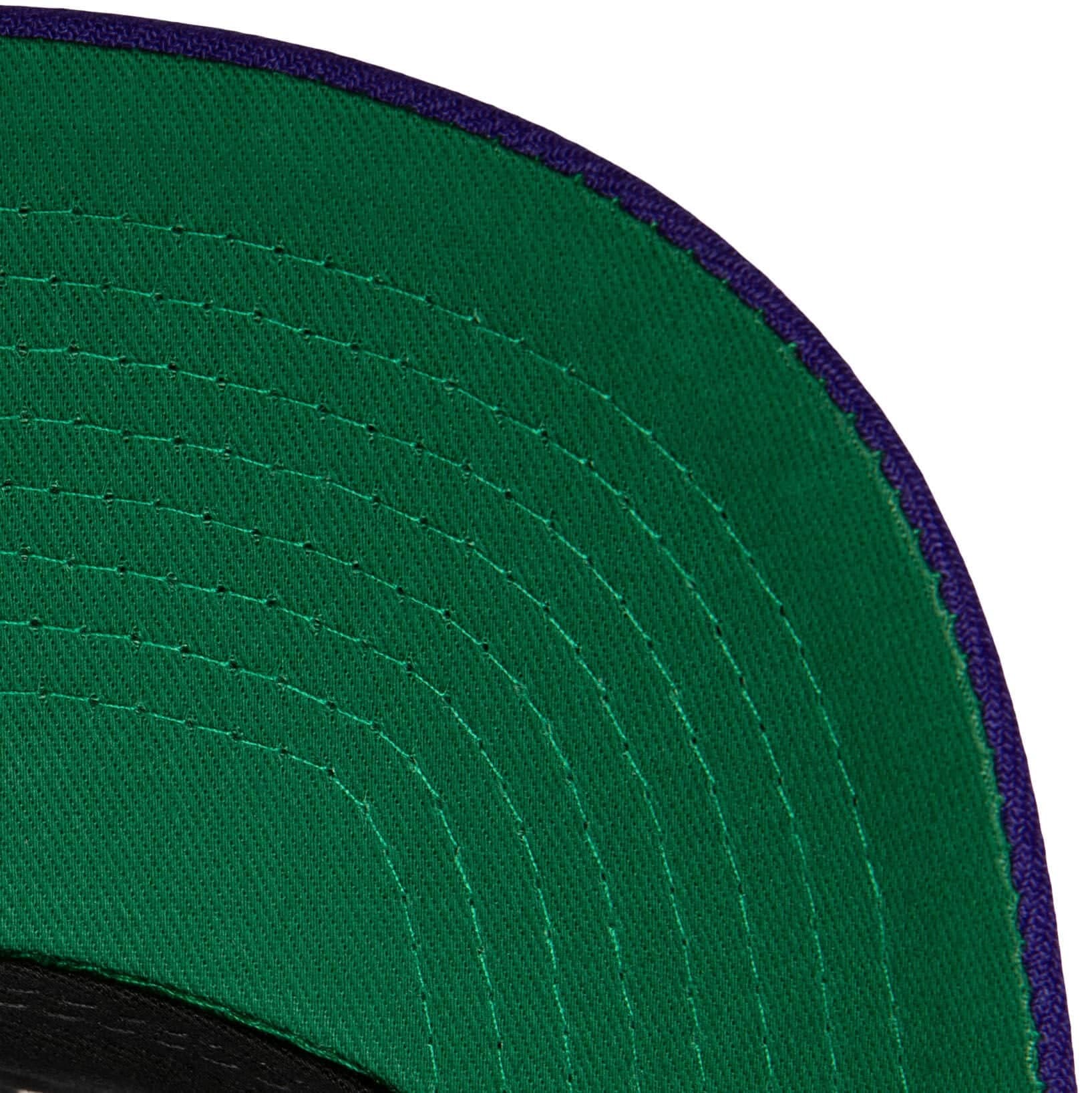 Mitchell-Ness-Team-2-Tone-2.0-Pro-Snapback-HWC-Charlotte-Hornets-Hat-2
