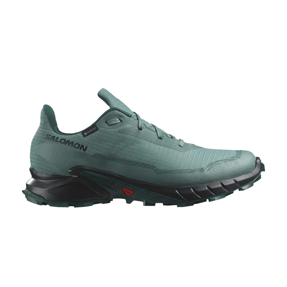 Кроссовки Salomon Alphacross 5 GORE-TEX 'Sea Moss Black'