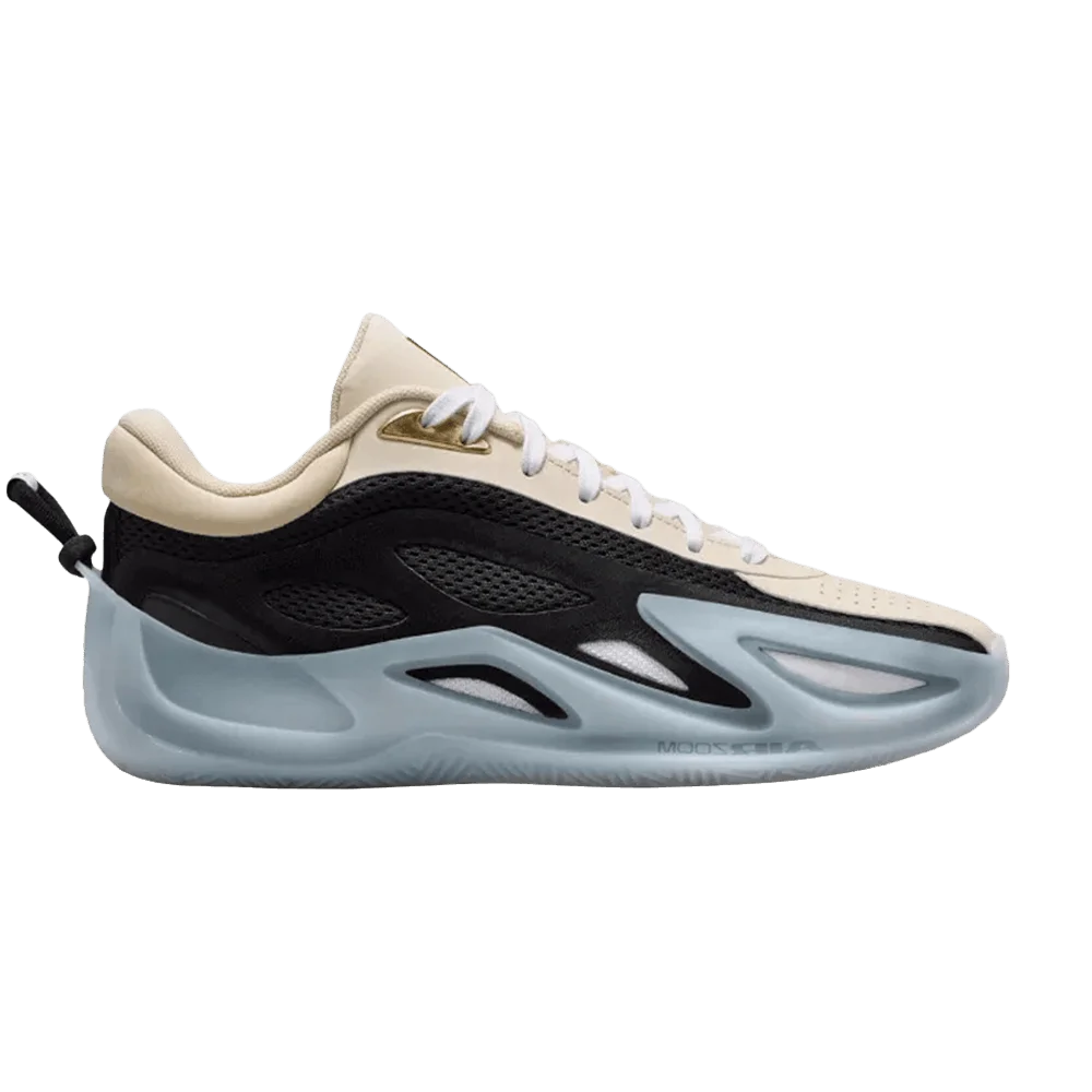Кроссовки Wmns Air Jordan Heir Series 2 'WNBA'