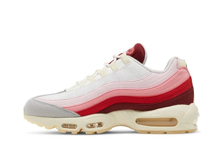 Кроссовки Nike Air Max 95 'Anatomy Of Air'