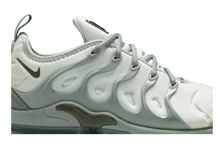 Кроссовки Nike Wmns Air VaporMax Plus 'Light Grey'