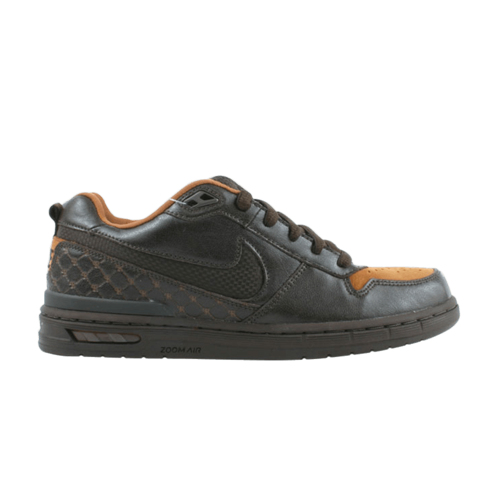 paul-rodriguez-zoom-air-low-310802-201
