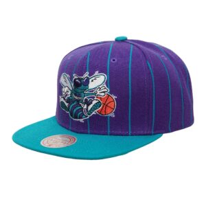 Mitchell-Ness-Team-Pin-Snapback-HWC-Charlotte-Hornets-Hat-300x300