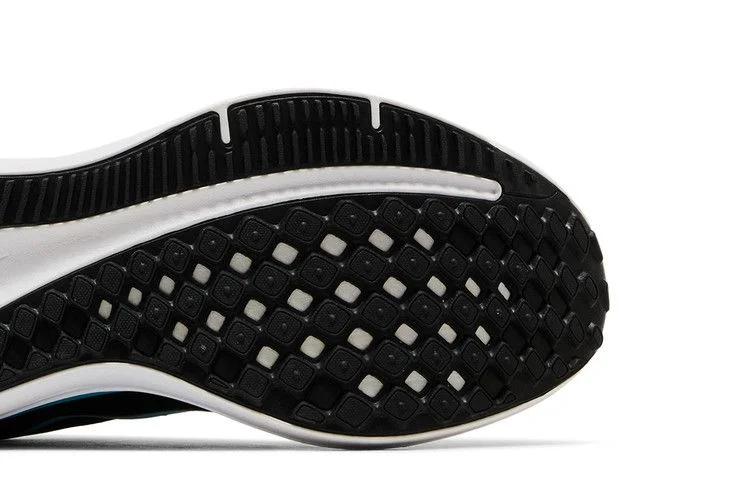 Кроссовки Nike Wmns Winflo 10 'Black Baltic Blue'