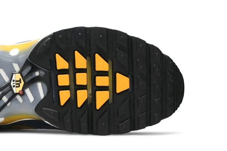 Кроссовки Nike Air Max Plus 'Wave Grid'