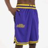 Nike-Los-Angeles-Lakers-DNA-Dri-Fit-NBA-Shorts-1-100x100