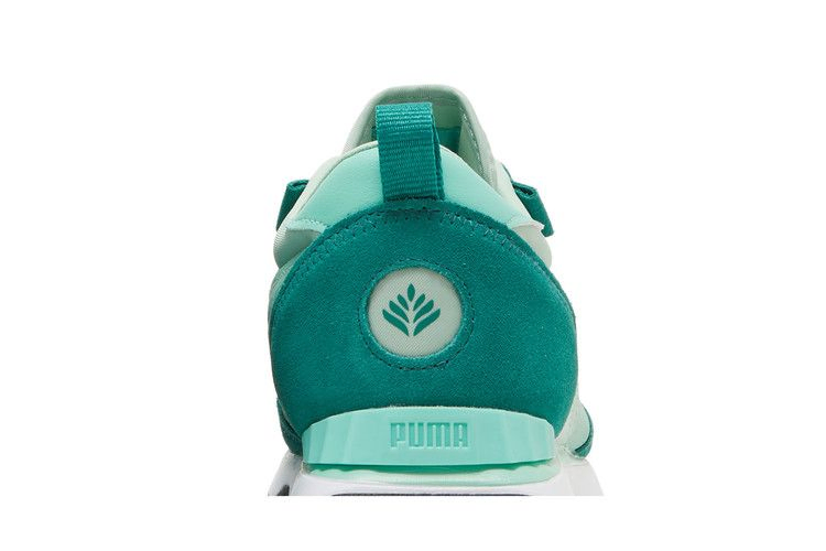 pokemon-x-rider-fv-bulbasaur-387324-01_06