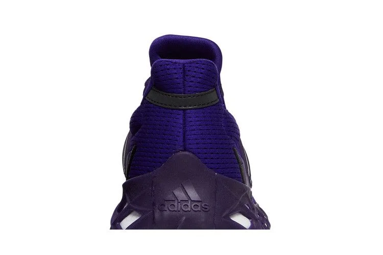 Кроссовки Adidas Ultraboost Web DNA 'Team College Purple'