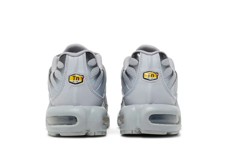 Кроссовки Nike Air Max Plus TN 'Wolf Grey'