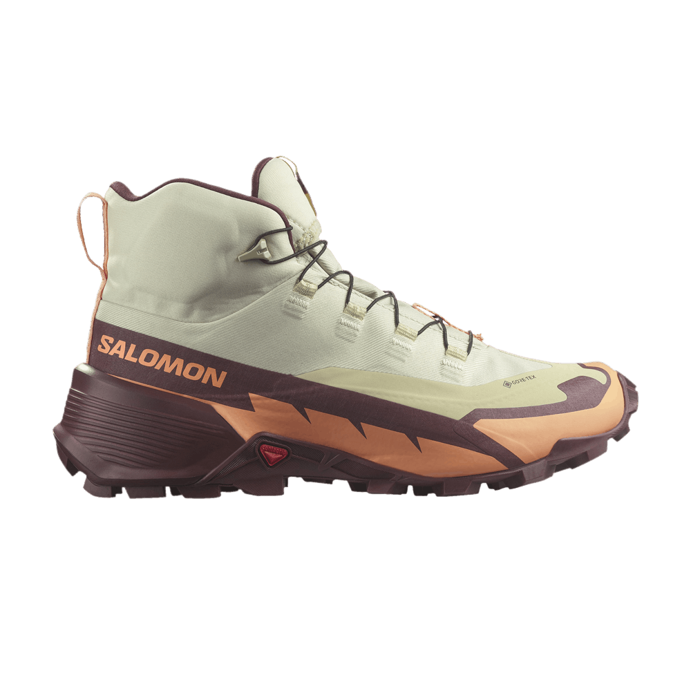 Salomon Wmns Cross Hike 2 Mid GORE-TEX 'Olive Night'