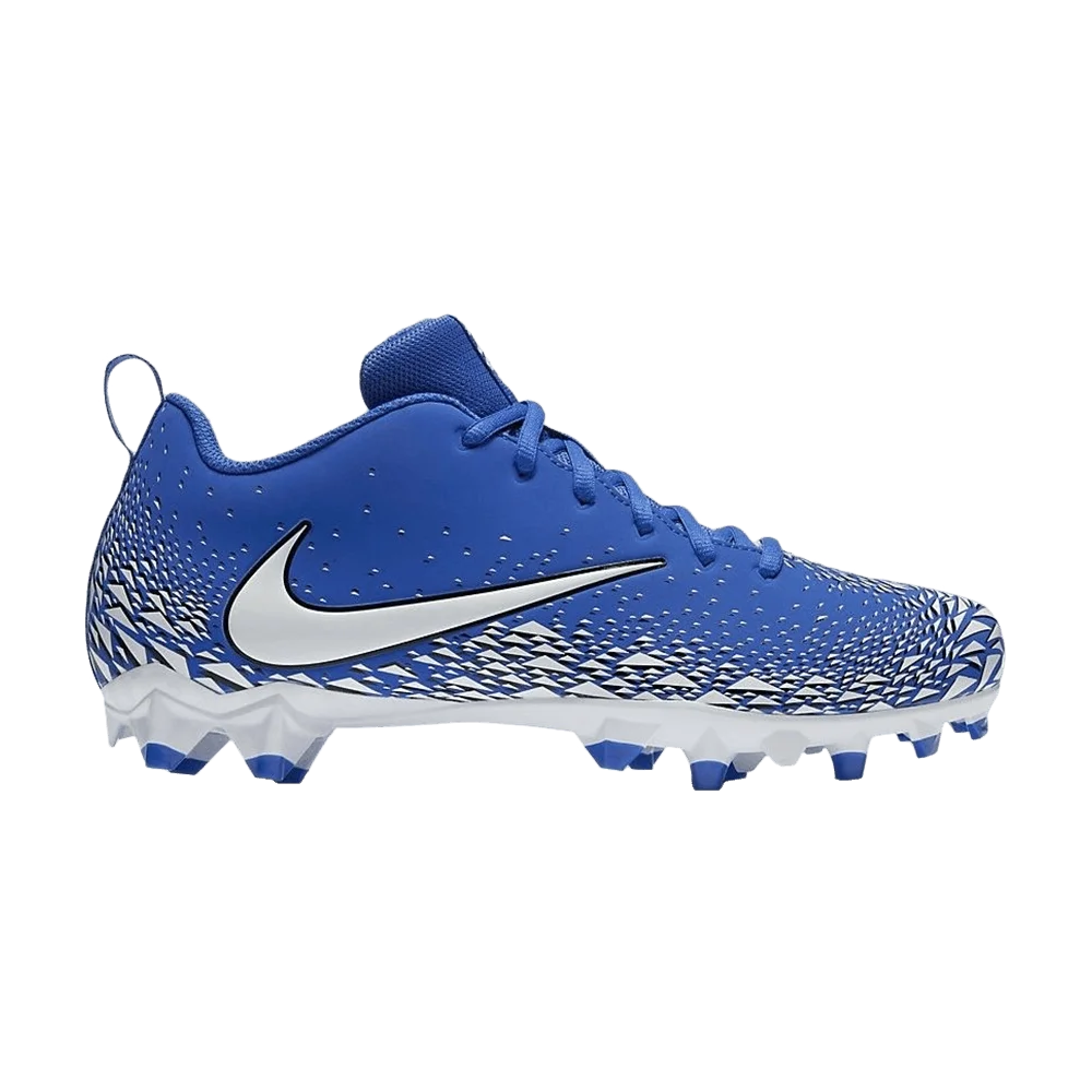 Krossovki-Nike-Vapor-Varsity-Low-TD-Game-Royal
