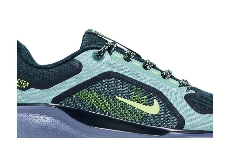 Кроссовки Nike Air Zoom Pegasus 41 GORE-TEX 'Cannon Obsidian'