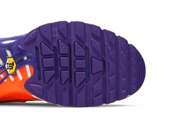 Кроссовки Nike Air Max Plus 'Color Flip'